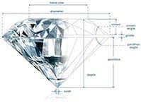 Company info company info